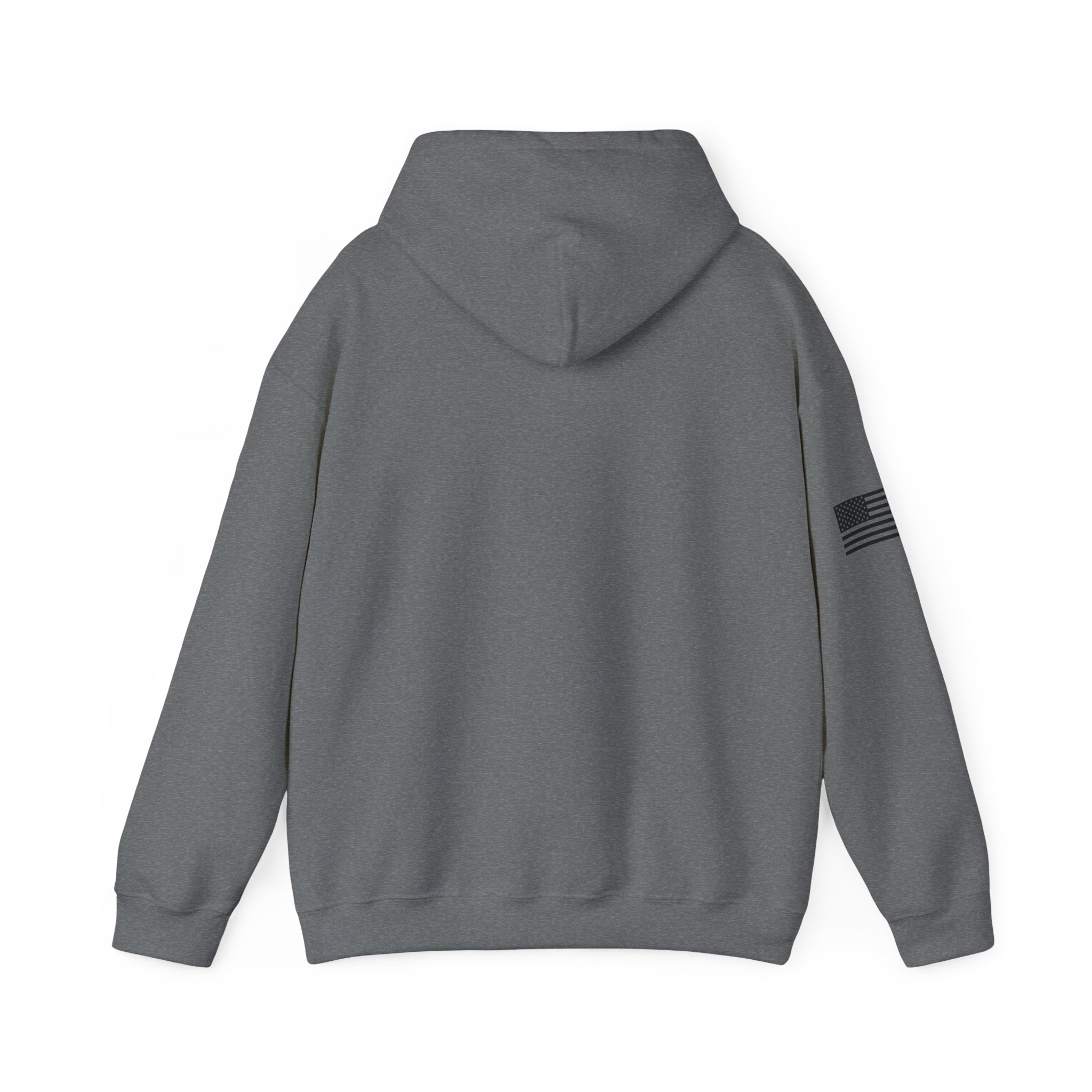 Gray hoodie with a small flag patch on the sleeve, shown from the back.